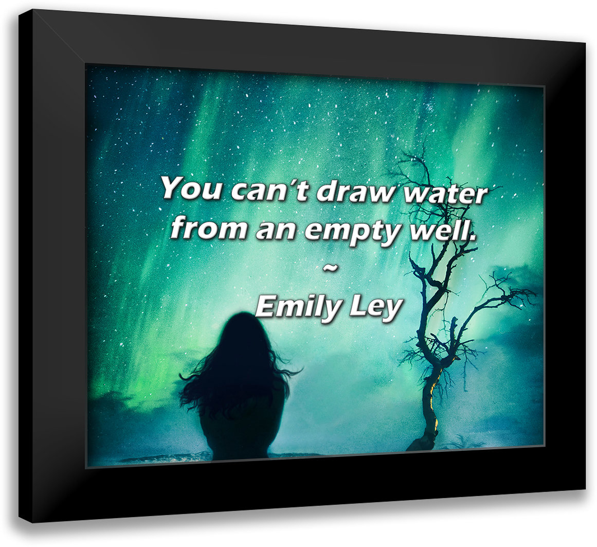 Latitude Run® Emily Ley Quote You can’t draw water from an empty well