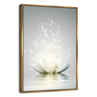 Lotus scintillant