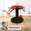 Poteau à griffer pour coccinelle, griffoir pour chat avec corde en sisal et boule de suspension interactive, poteau à griffes de 10 pouces pour chats d'intérieur et chatons