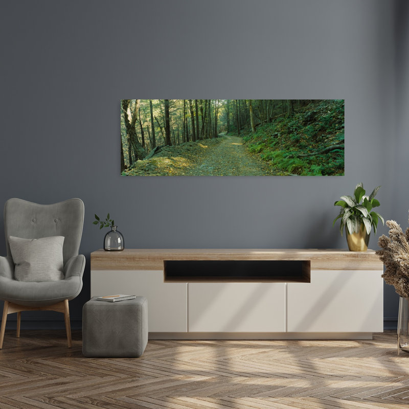 Trees In A National Park Shenandoah National Park Virginia USA by Murat Taner - Wrapped Canvas Panoramic Print