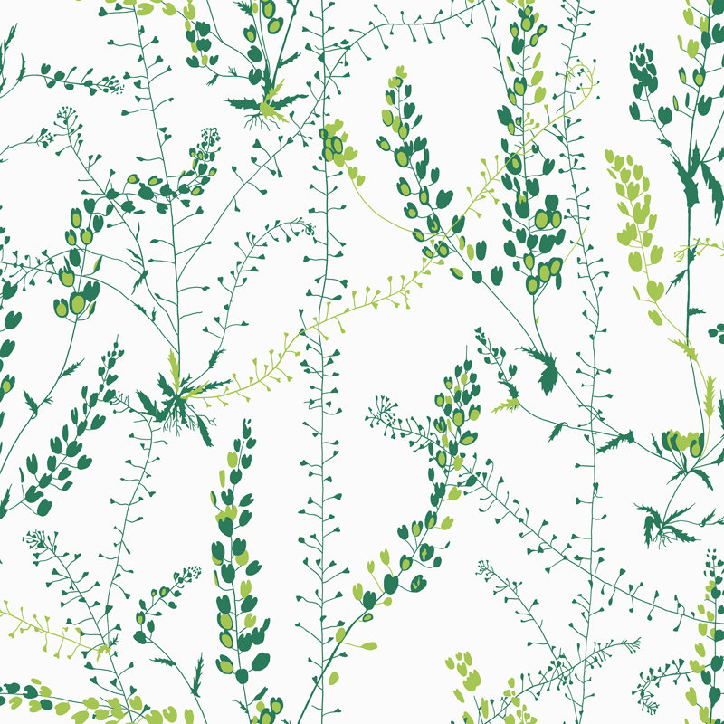 Rouleau de papier peint botanique 33 pi x 21 po Scandinavian Designers II, Vert