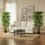 Arbre de 5,3 pi en bambou pour décoration intérieure, ensemble de 2, vert