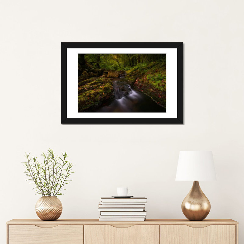 «Forest Treasures», reproduction de photo sur toile, Papier d'art encadré noir, Blanc, H 16 po x l 24 po x P 1 po