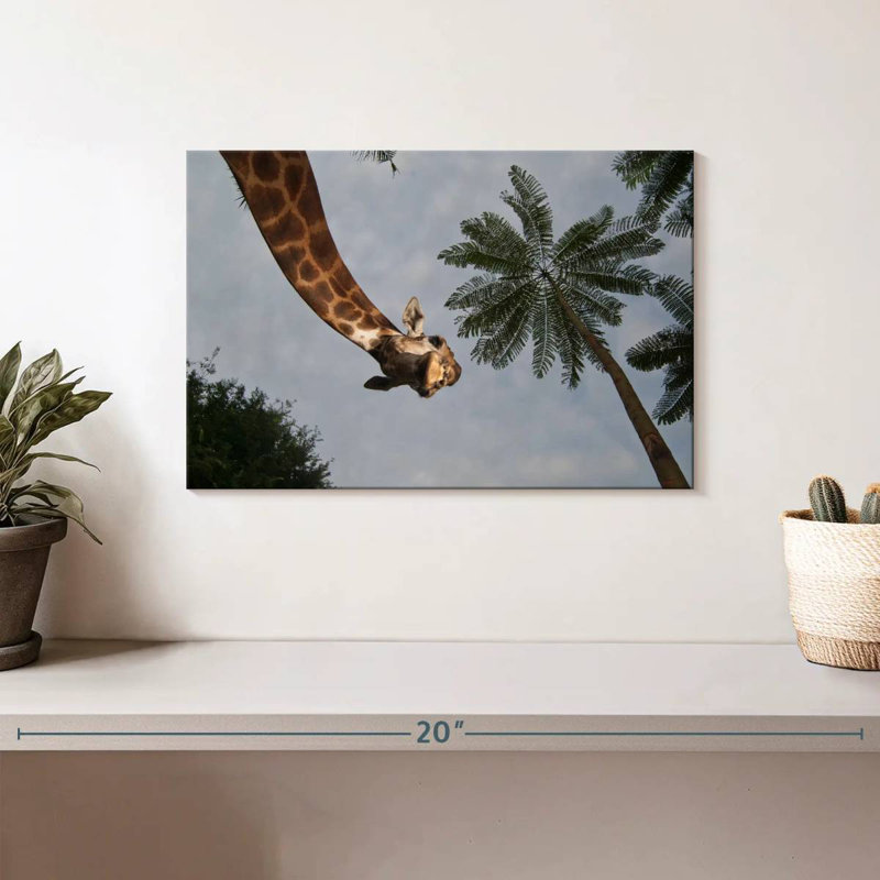 Brampt Giraffe Curiosity, 8" H x 12" W