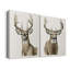 «Handsome Whitetail» - Toile tendue avec châssis de qualité supérieure - Prêt à être accroché-108965768