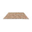 Wool Floral Area Rug in Brown/Ivory-76019339