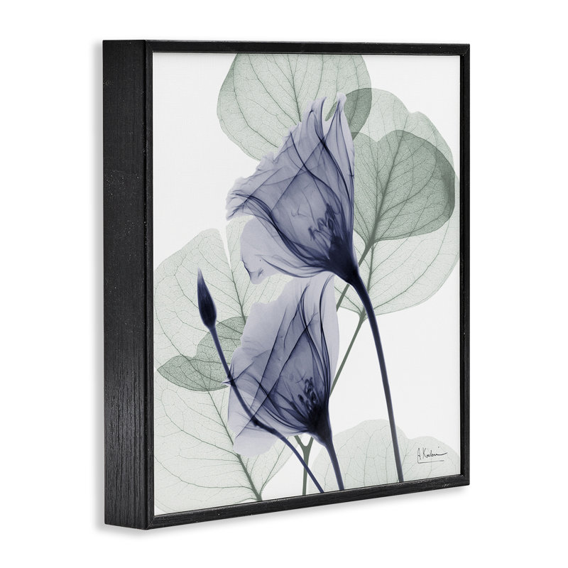«Serene Tulips & Herbs», dessin par Albert Koetsier, H 24 po x l 24 po, Giclée encadrée noir minuit