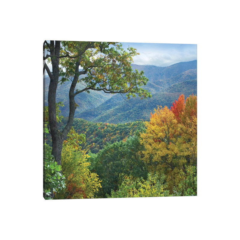 Deciduous Forest in Autumn, Blue Ridge Parkway, North Carolina 1 Piece Wrapped Canvas Wall Art