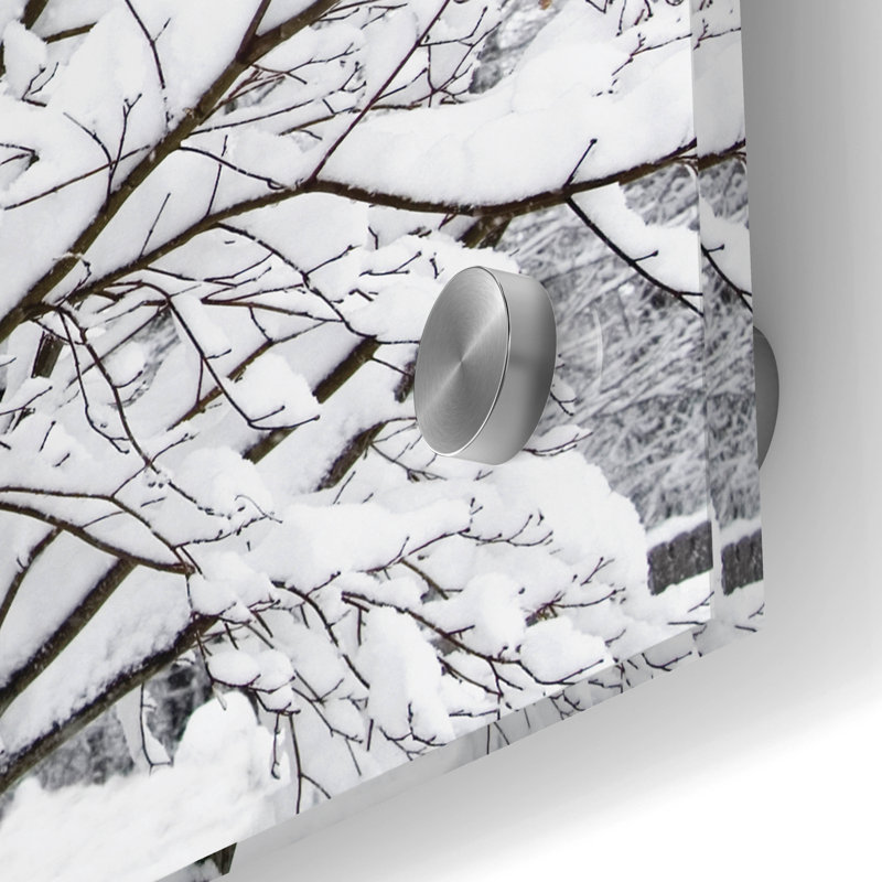  Art mural en verre 24 po x 24 po «Snow Fills Branches» par Erin Clark, H 24 po x l 24 po x P 0,2 po