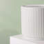 Lolley Handmade Ceramic Pot Planter-874547500