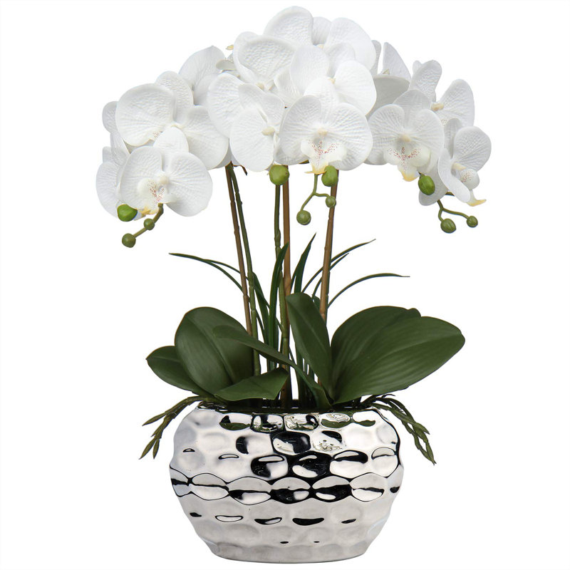 Rowney Arrangement, White