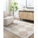 Machine Washable Shaggy Boho Beige Area Rug