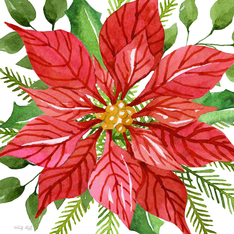 Poinsettia rouge, H 36 po x l 36 po