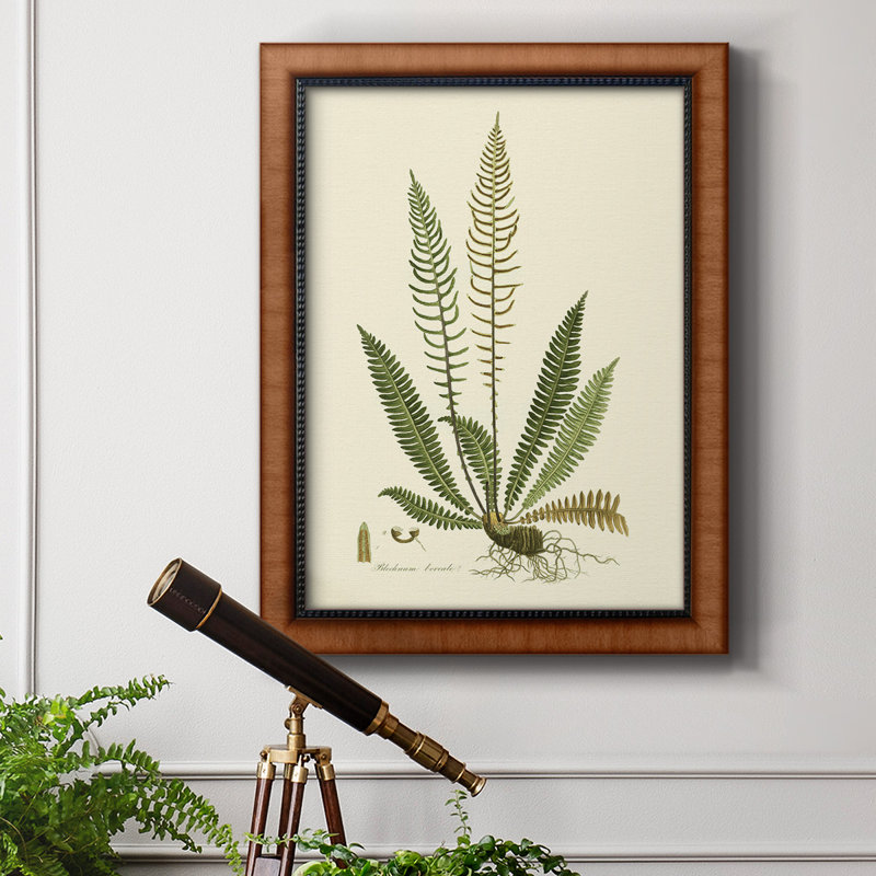 Toile encadrée de qualité supérieure Curtis Ferns III - prête à être accrochée, H 20 po x l 16 po x P 2,5 po