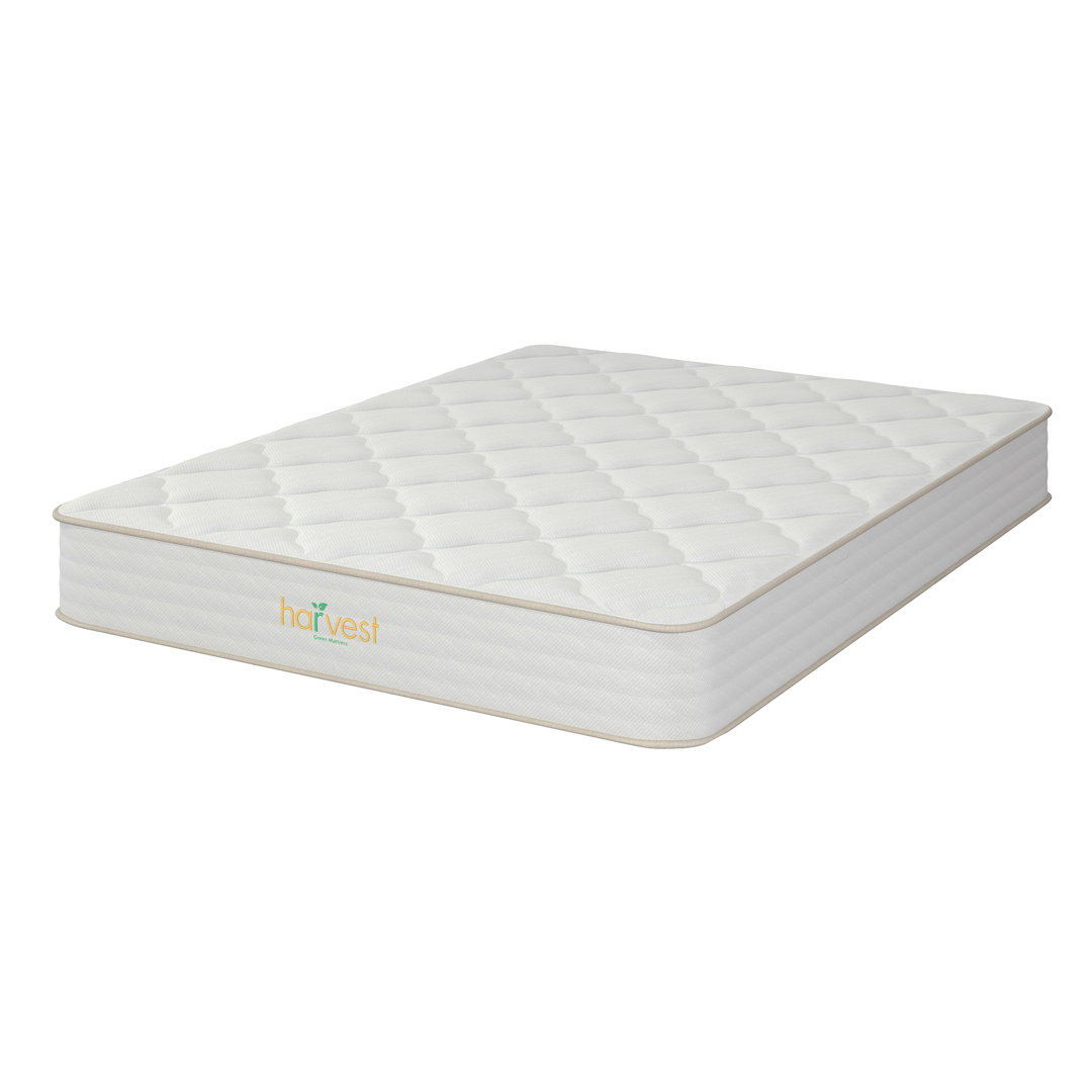 10'' Medium Mattress Harvest Green Mattress Mattress