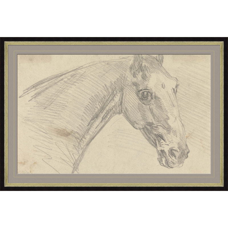 «Study of a Horse» par Sawrey Gilpin - reproduction de dessin encadrée