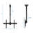 Mount-It! Height Adjustable Full Motion TV Ceiling Mount Bracket | Fits 32 - 70 Inch LCD, LED TVs