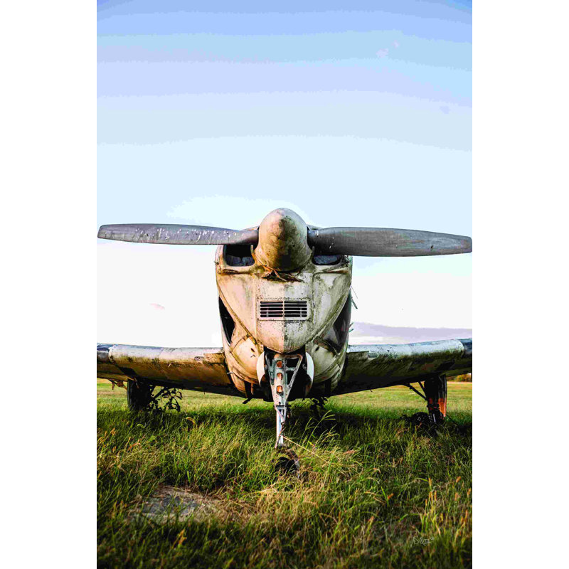 «Last Flight III» par Donnie Quillen - reproduction imprimée, H 30 po x l 20 po, Non, Cadre flottant noir