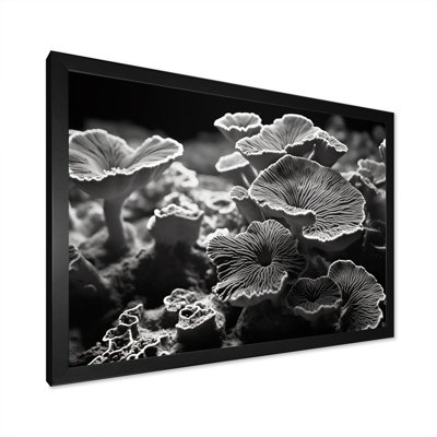 Coral Serenity en noir et blanc II, reproduction d'art sur toile