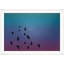 Flock Silhouette 2 Print by Mat Sanders