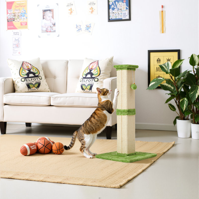 Grattoir pour chat 32 po avec jouet à billes suspendu, poteau à griffes en sisal pour grands chats et chatons, Vert