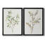 "Single Sprig I", ensemble de 2 impressions sur toile encadrées-1859887774-1859887773