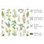 «Botanical Plants & Herbs», impression d'art sans cadre-815960117
