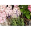 Lily Manor Wicker 3 Piece Planter Basket Set