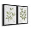 Toile encadrée Herb Sage Premium - prête à être accrochée-1062113800-1062113815