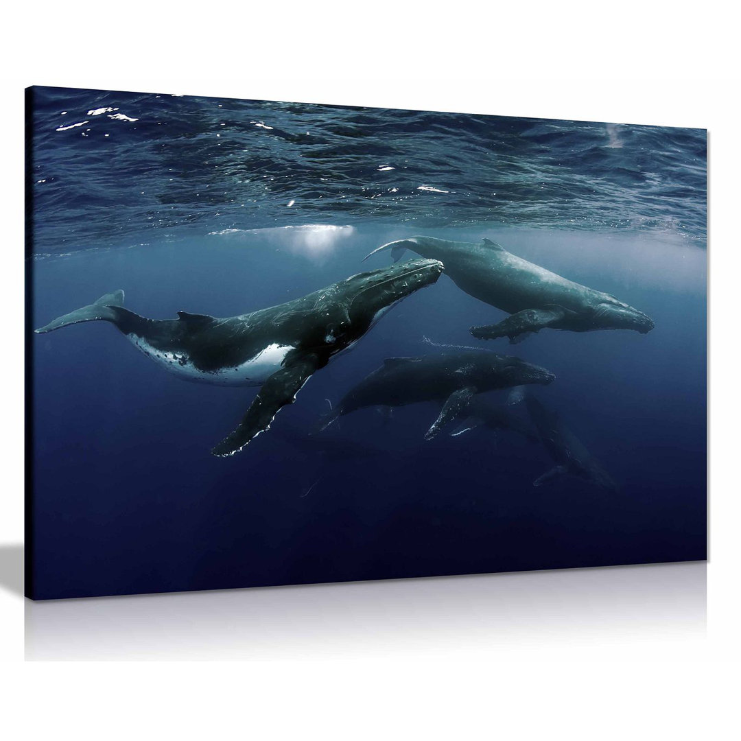 Humpback Whale Ocean 2 - Wrapped Canvas Print