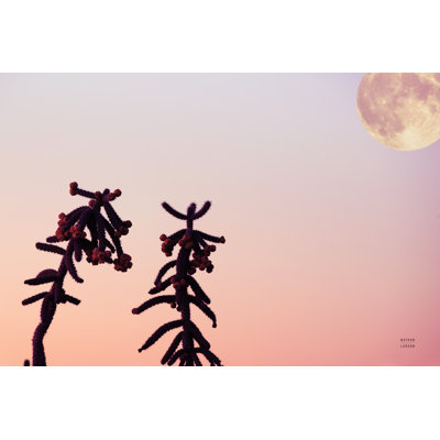 " Moon Desert " by Nathan Larson