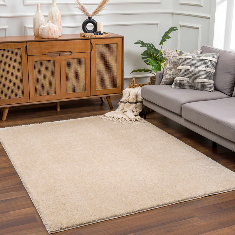Tapis brun Wyanet Performance, Rectangle 5 pi 3 po x 7 pi