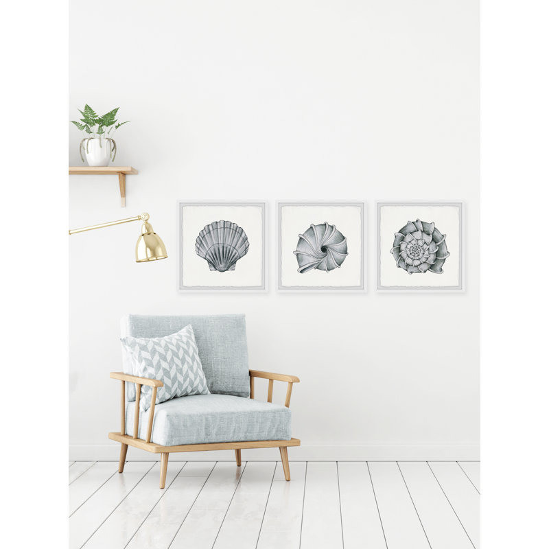 Pretty Shells - 3 Piece Single Picture Frame Painting, 45cm H x 45cm W