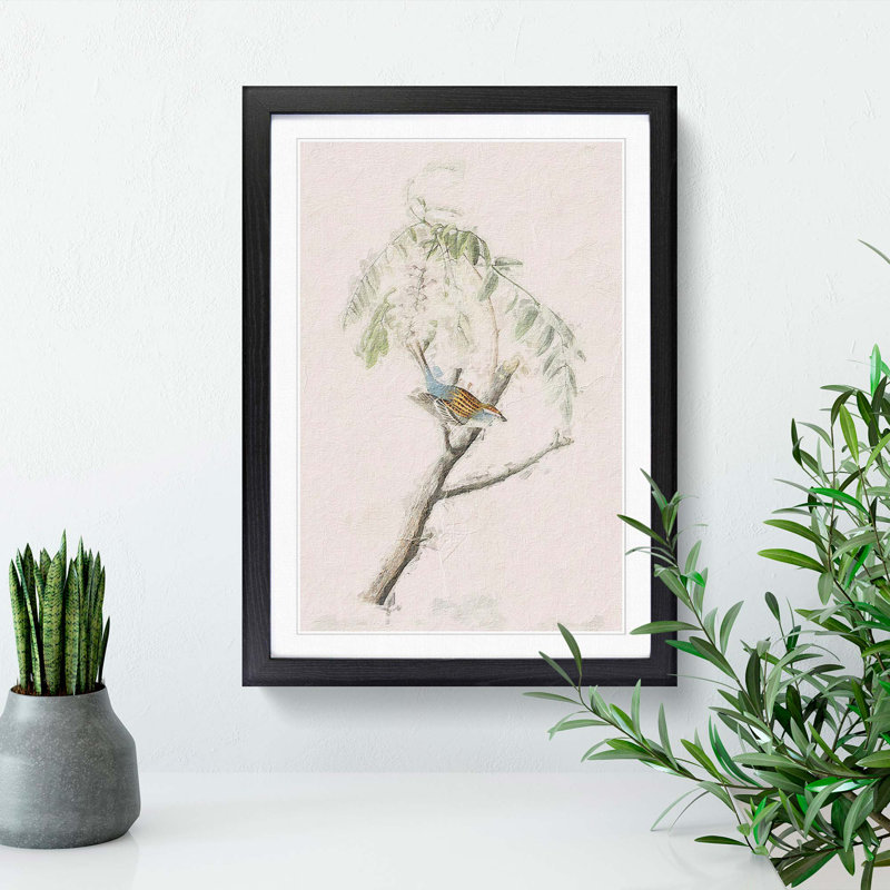 Chipping Sparrow Bird by John Audubon - Picture Frame Painting Print, 65cm H x 48cm W x 2cm D, Black Framed