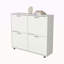 Armoire de rangement à chaussures inclinable avec plusieurs compartiments et design moderne