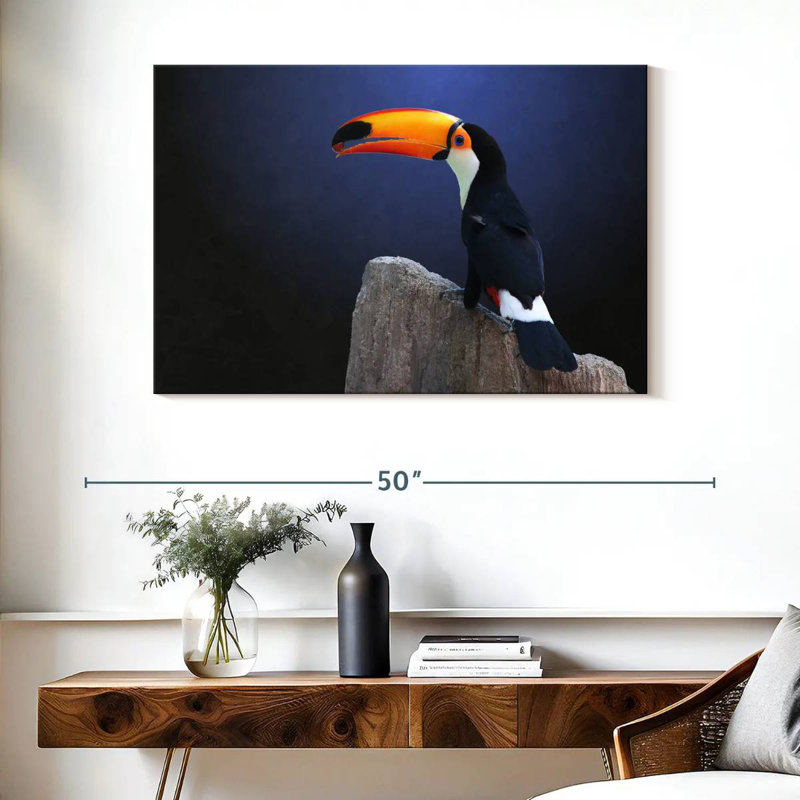 Toucan With Grape
