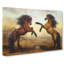 Two Wild Stallion Horses - Wrapped Canvas-56641299