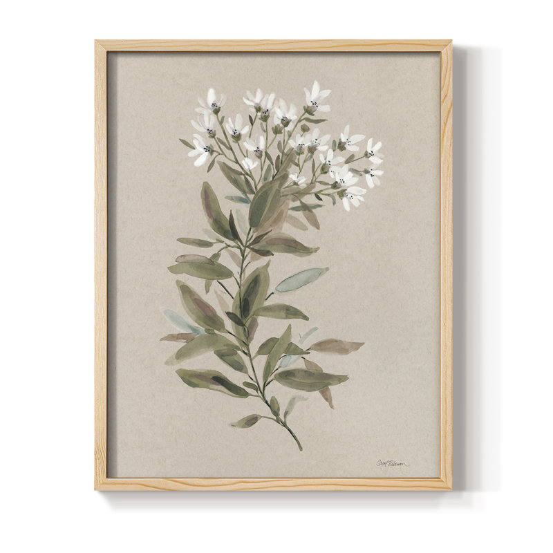 «White Floral Stem I», reproduction encadrée - bois massif, H 21 po x l 17 po, Naturel