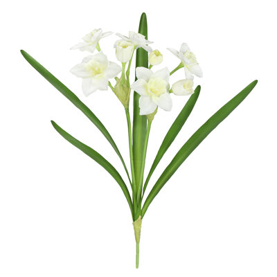 Tulip Arrangement