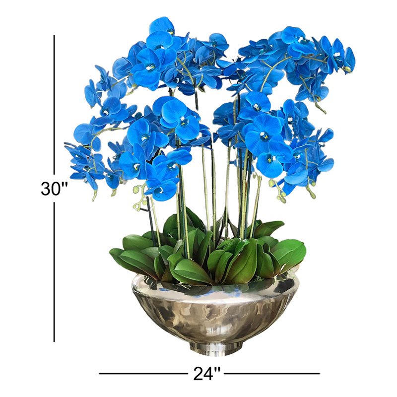 Orchid Arrangement in Planter, Blue
