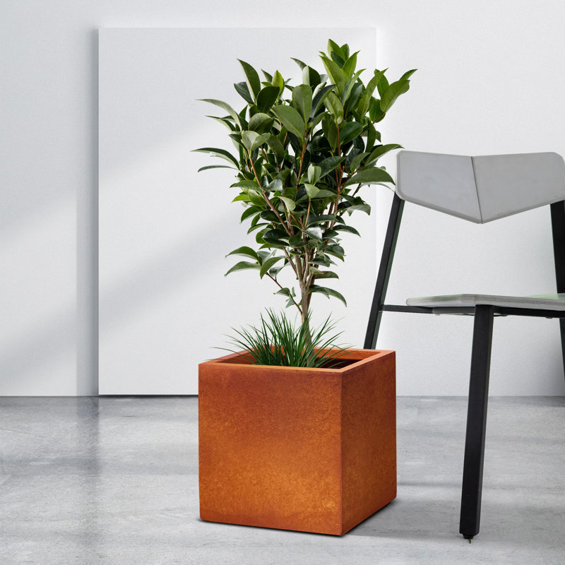 Boîte à fleurs en béton Wabbaseka, H 16 po x l 16 po x P 16 po, Oxyde de fer