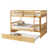 White Oak