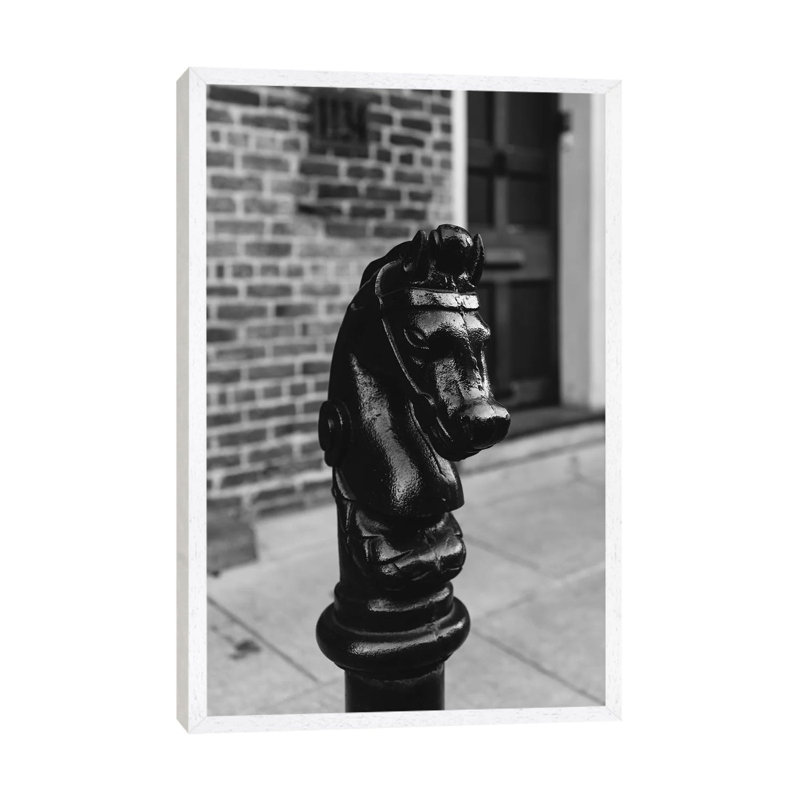 New Orleans Horse by Bethany Young - Print on Canvas, White Framed, 66.04cm H x 45.72cm W x 3.81cm D