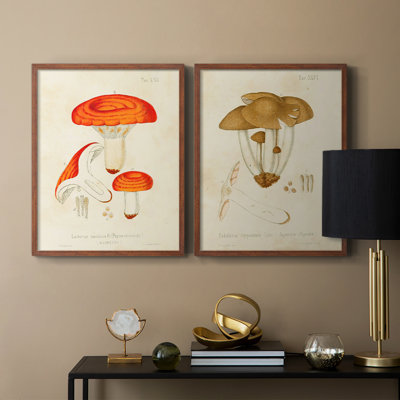 «Mushroom Variétés», reproduction encadrée de qualité supérieure - prête à être accrochée - aucun clou requis - aucun clou requis