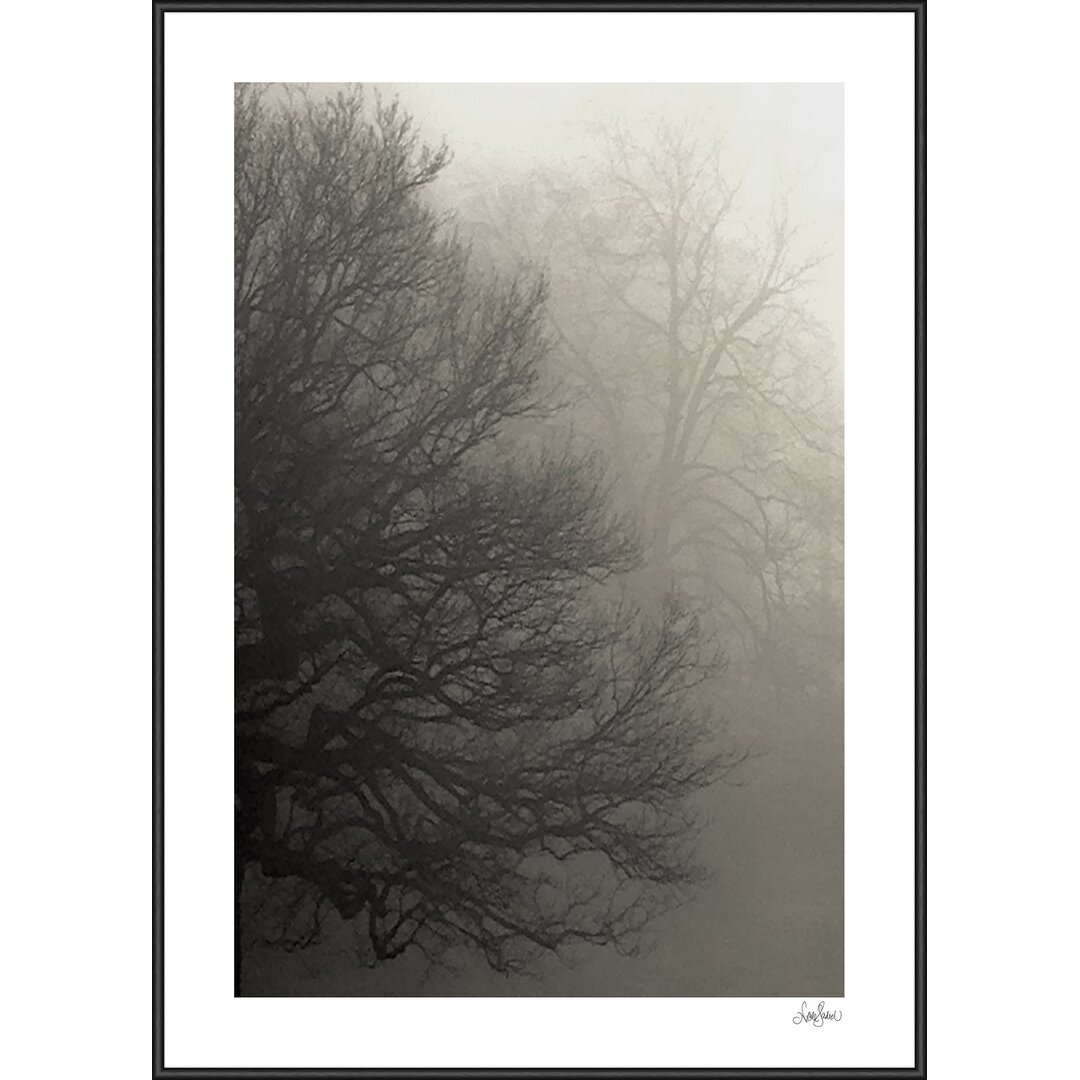 Gerahmtes Poster „Misty Tree II“ von Nicole Gadiel , Fotodruck