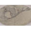 Modern Abstract Area Rug