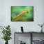 Vibrant Insect On Grass Vibrant Contemporary Nature Plant Wall Art Print 1 Piece Wrapped Canvas Wall Art-1522396982