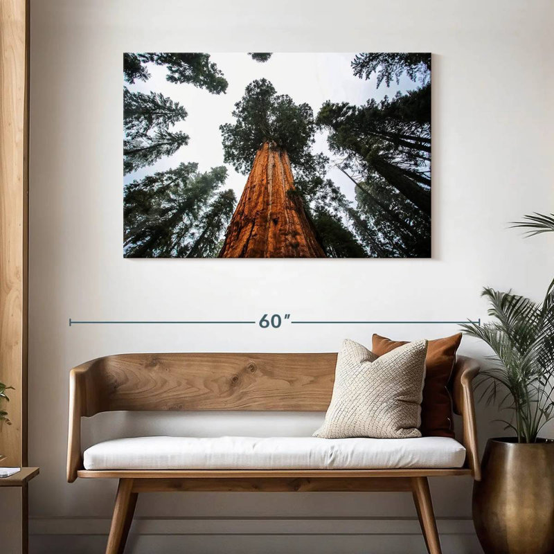 Harnek Giant Sequoias, 30" H x 45" W