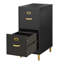 Classeur vertical 2 tiroirs Dahle-1912160070