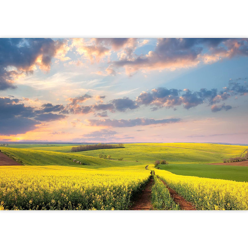 Murales fleurs jaunes au printemps, L 96 po x l 66 po